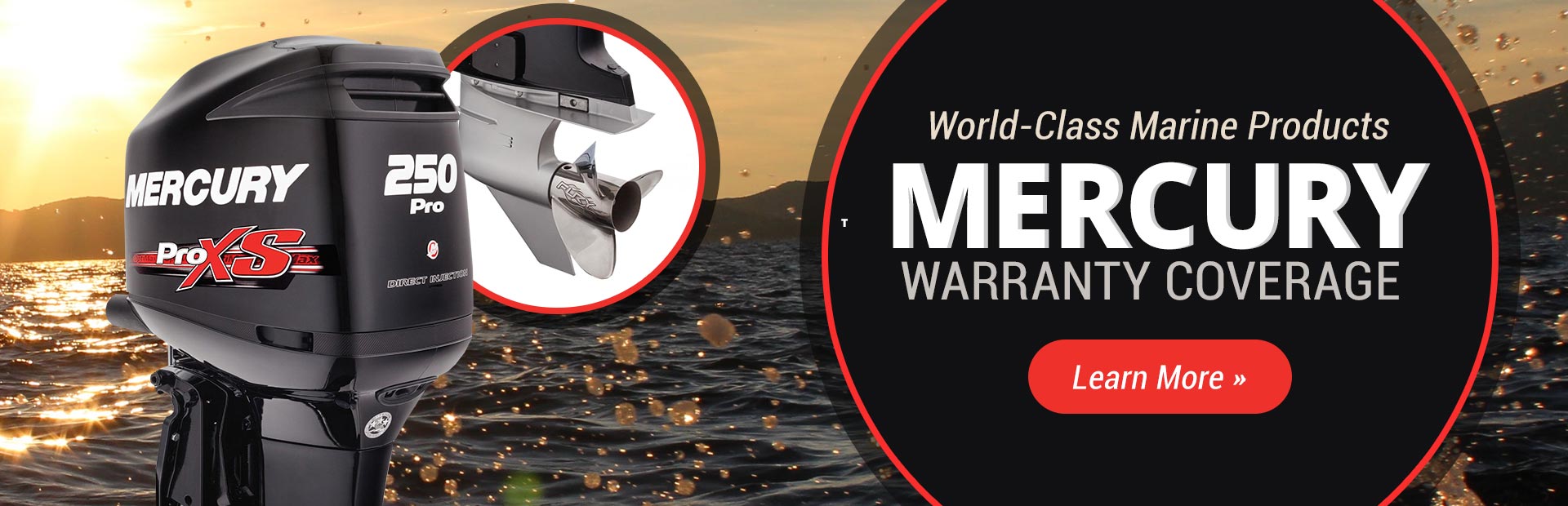 Banner1
