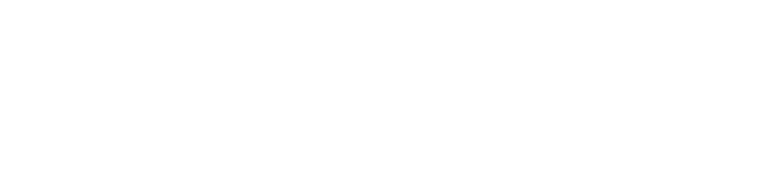 SecurLAN Words