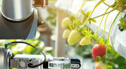 Robot Farming
