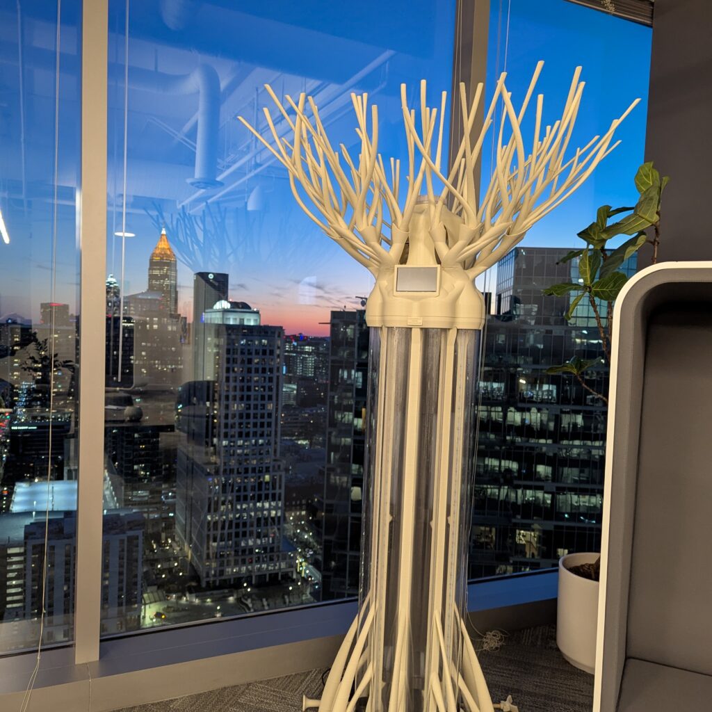 Modern Albero