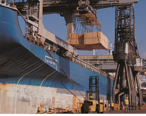 Export Shipment