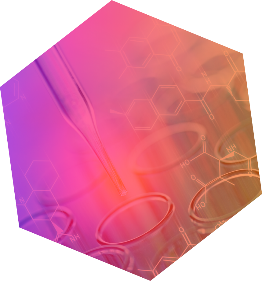 Hex1_v2