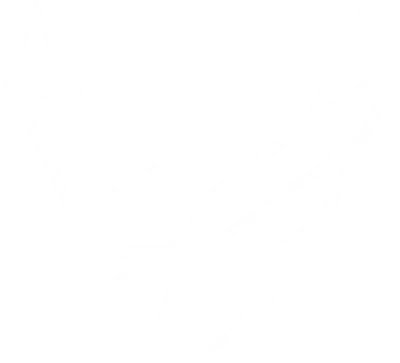 Air Force