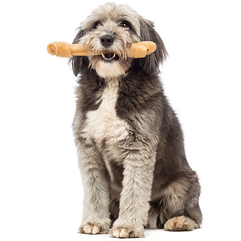 Natural Dog Chews