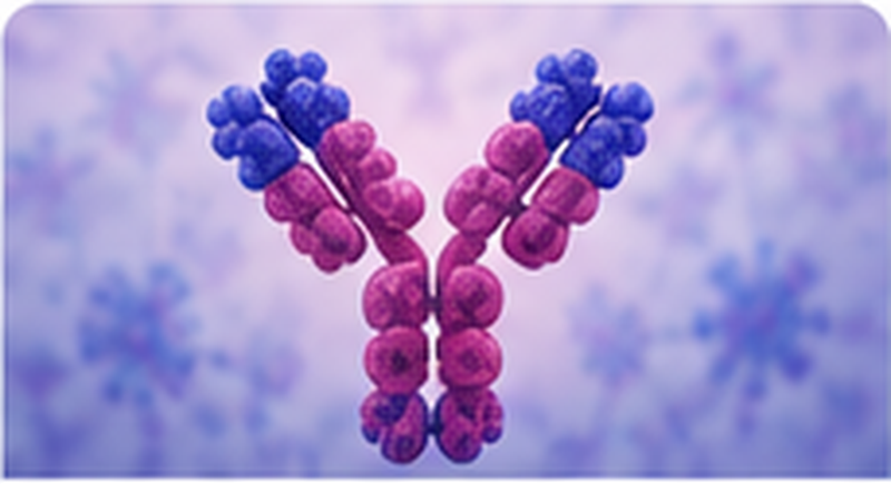 Research antibodies