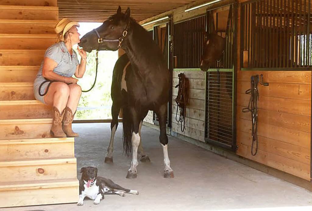 Horsey Housework