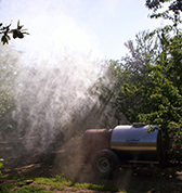 Orchard Sprayers