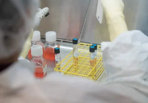 Research Market, Cell Culture