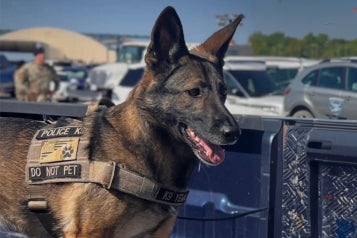 Law Enforcement & Military