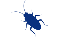 Vector Smart Object
