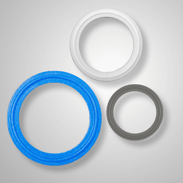 Sanitary Gasket Thumbnail
