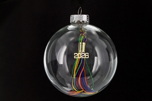 Pride Tassel Ornament