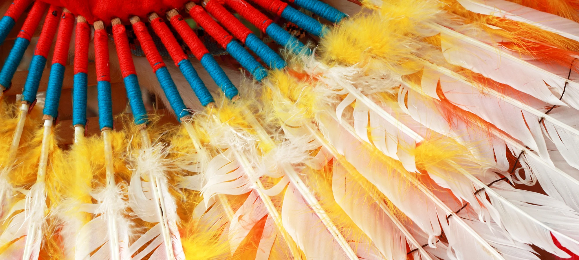 A colorful feather.