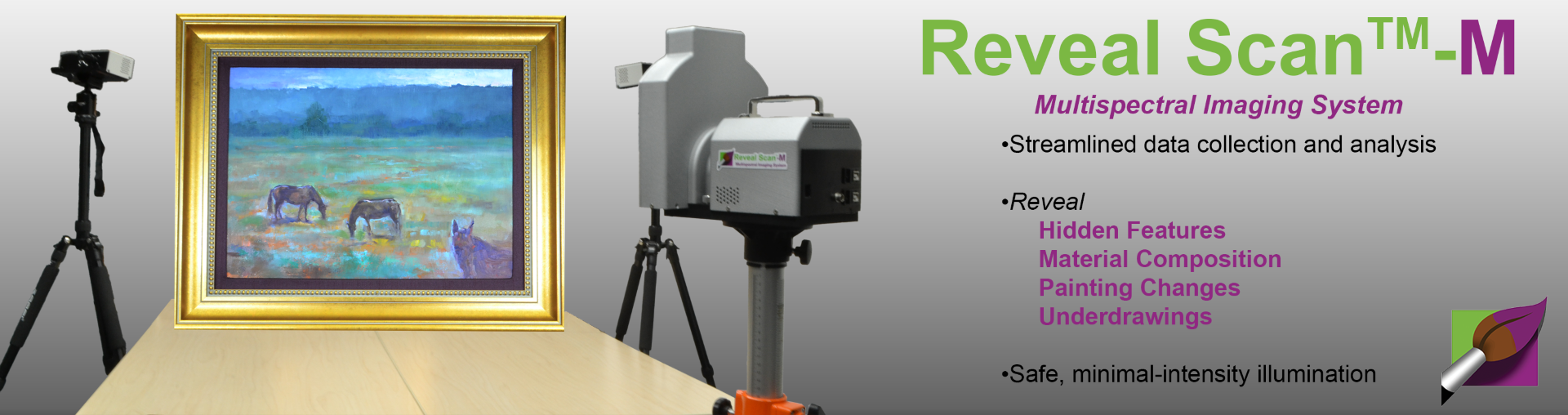 RevealScanMSlide