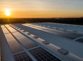 Solar Panel Farm