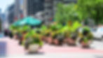 Nyc-install-summer