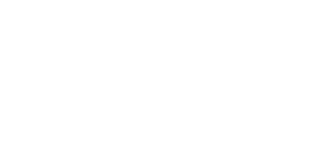 Artacent_Flex_Logo_White
