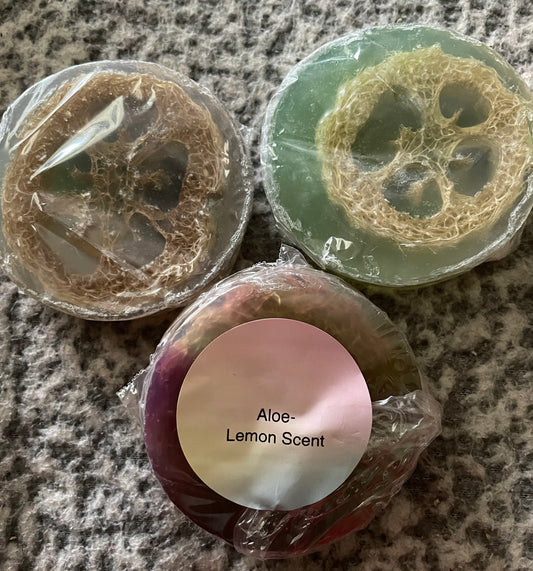 Aloe Loofah