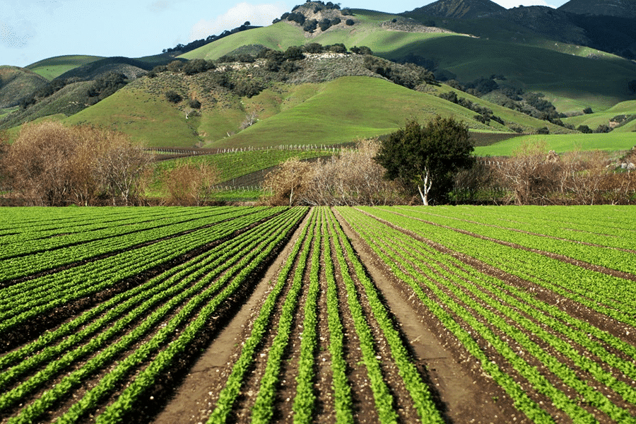 Agriculture