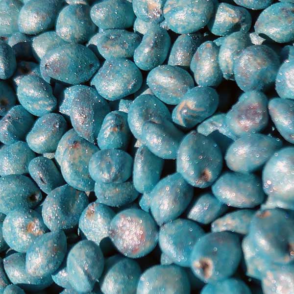 Green-peanuts-seeds