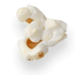 Popcorn Kernel