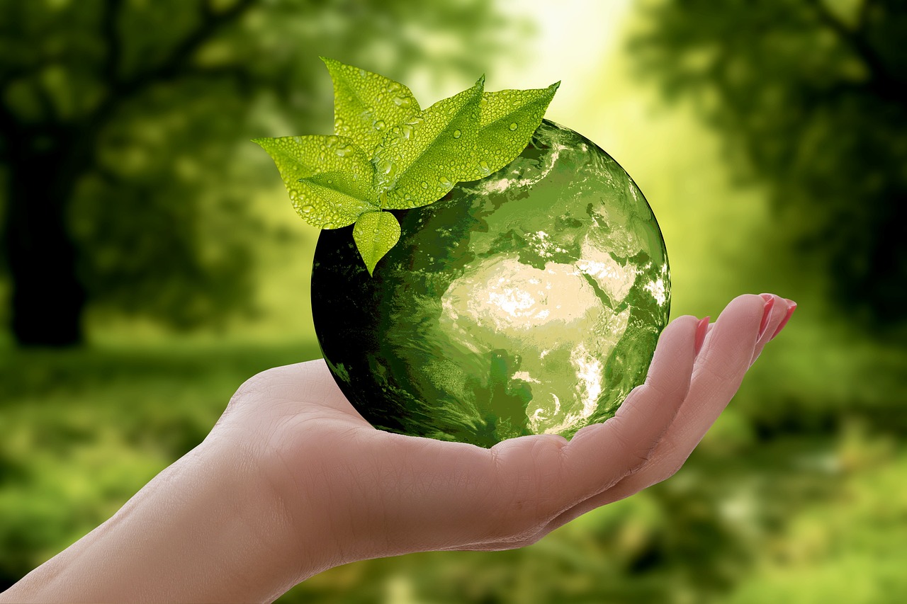Sustainable Packaging