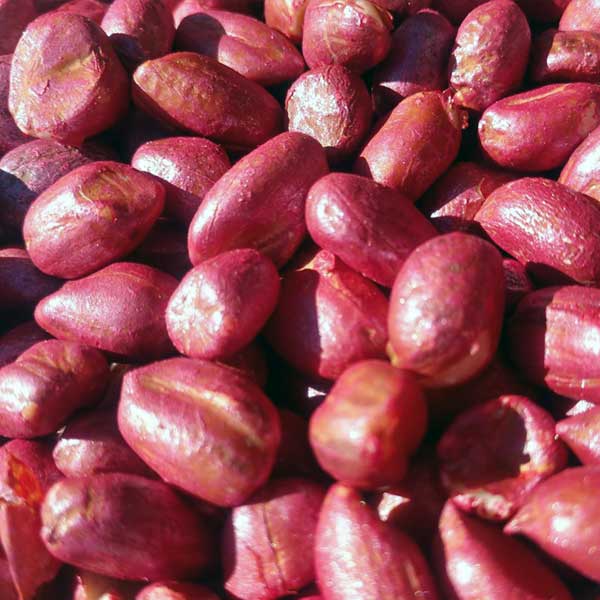 Peanuts-seeds