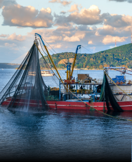 Maritime