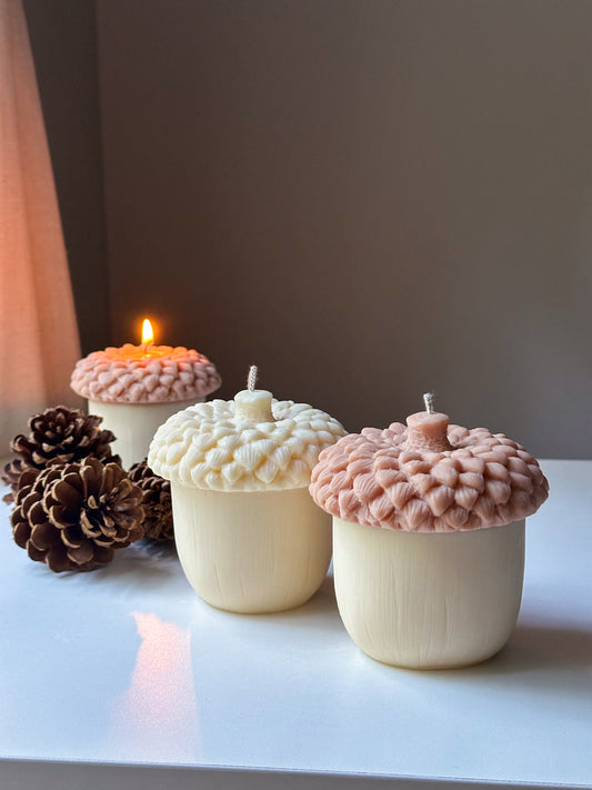 Acorn