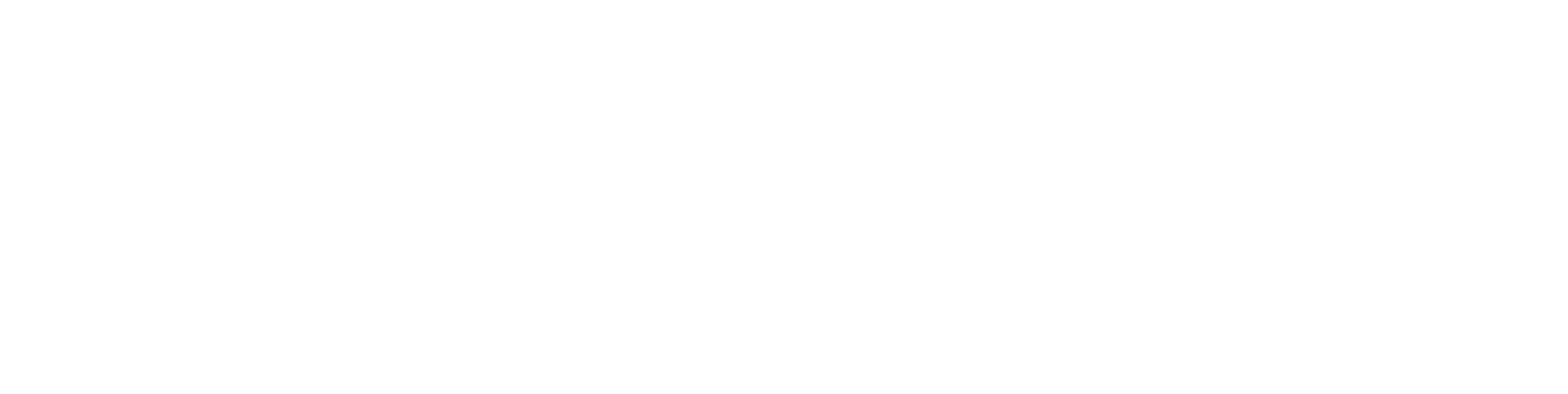 blueCORE Processors