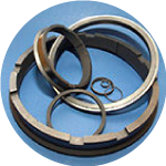 Mechanical Seal Rings