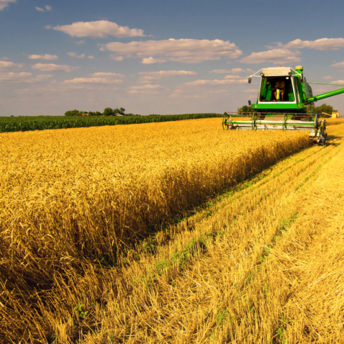 Agriculture