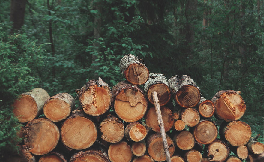 Pile of Logs