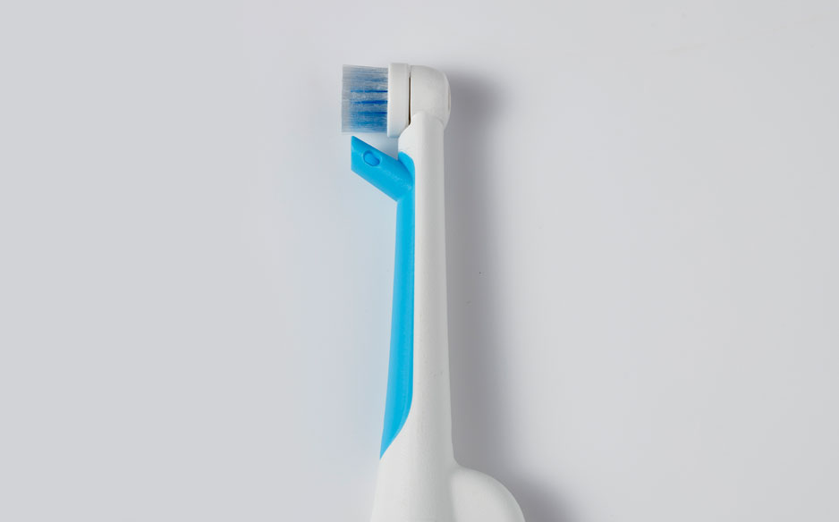 Kit-carousel-brush