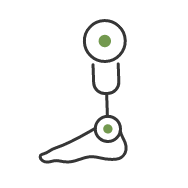 Graphic of Prosthetic Leg