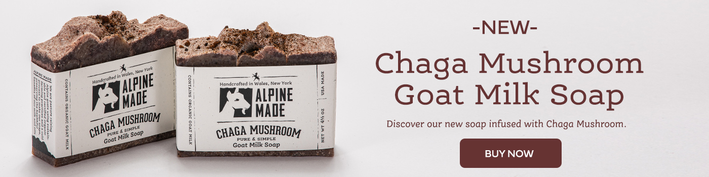 Chaga Mushroom