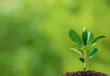 Environmental Commitment