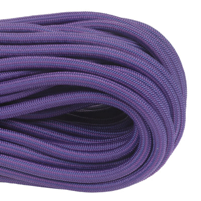 1100 Plum Closeup