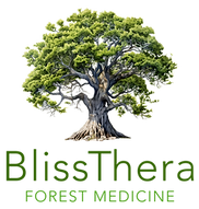 BlissThera Virtual Nature Therapy