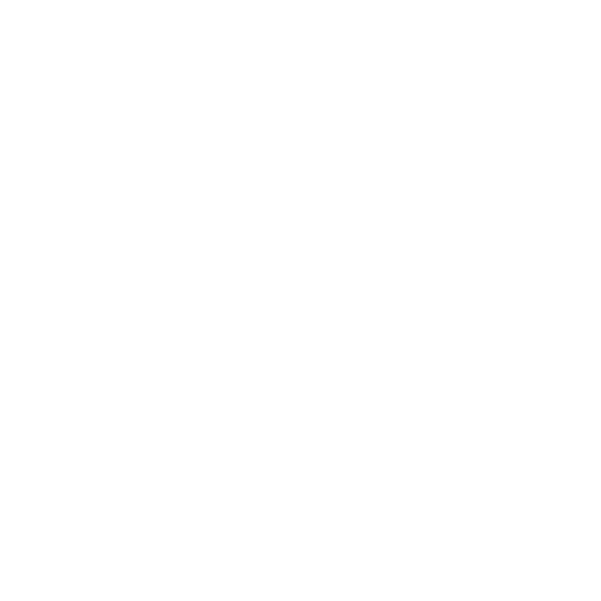 Logo_Ray-Ban