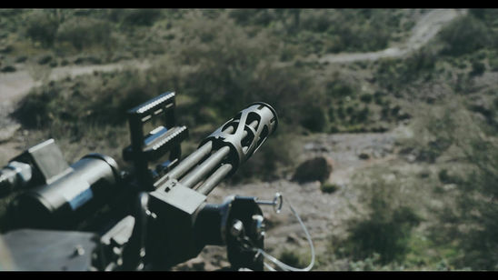 Profense ARM