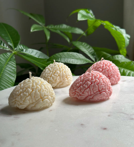 Brain Candle
