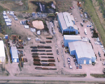 Picture of the Plant