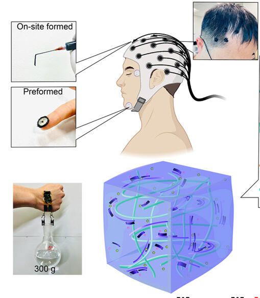 Device (Cell) 2024