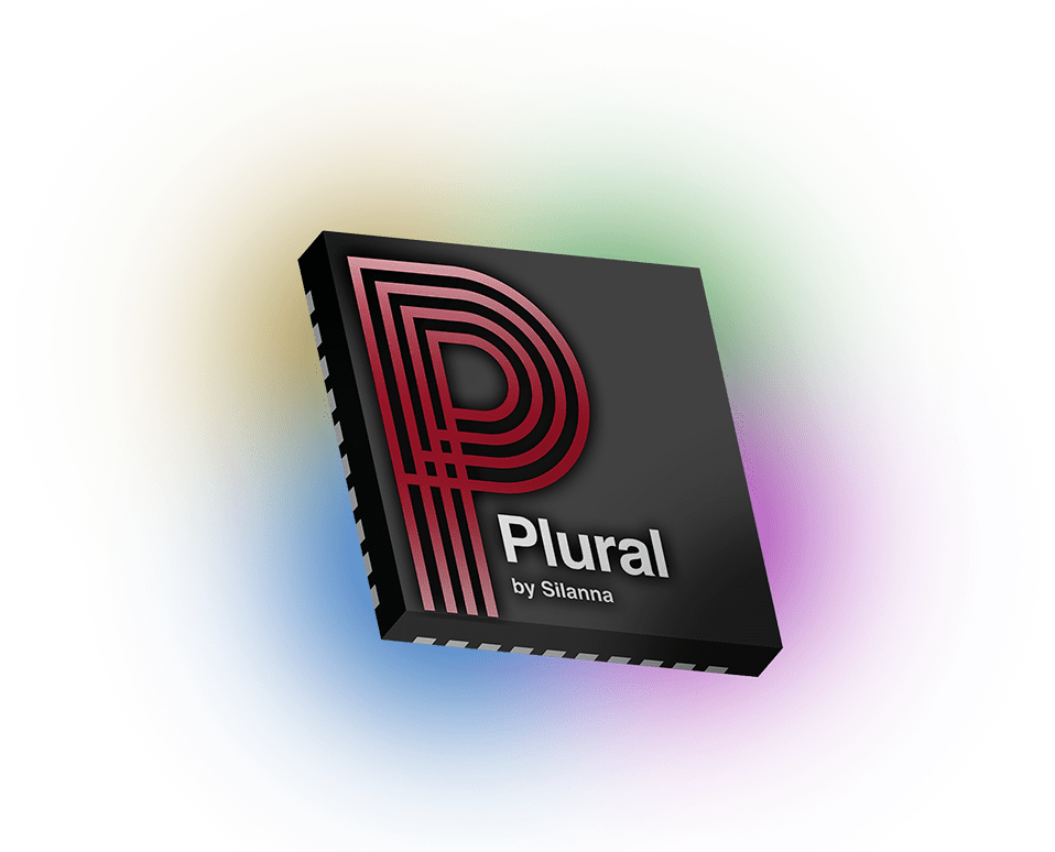 Plural chip