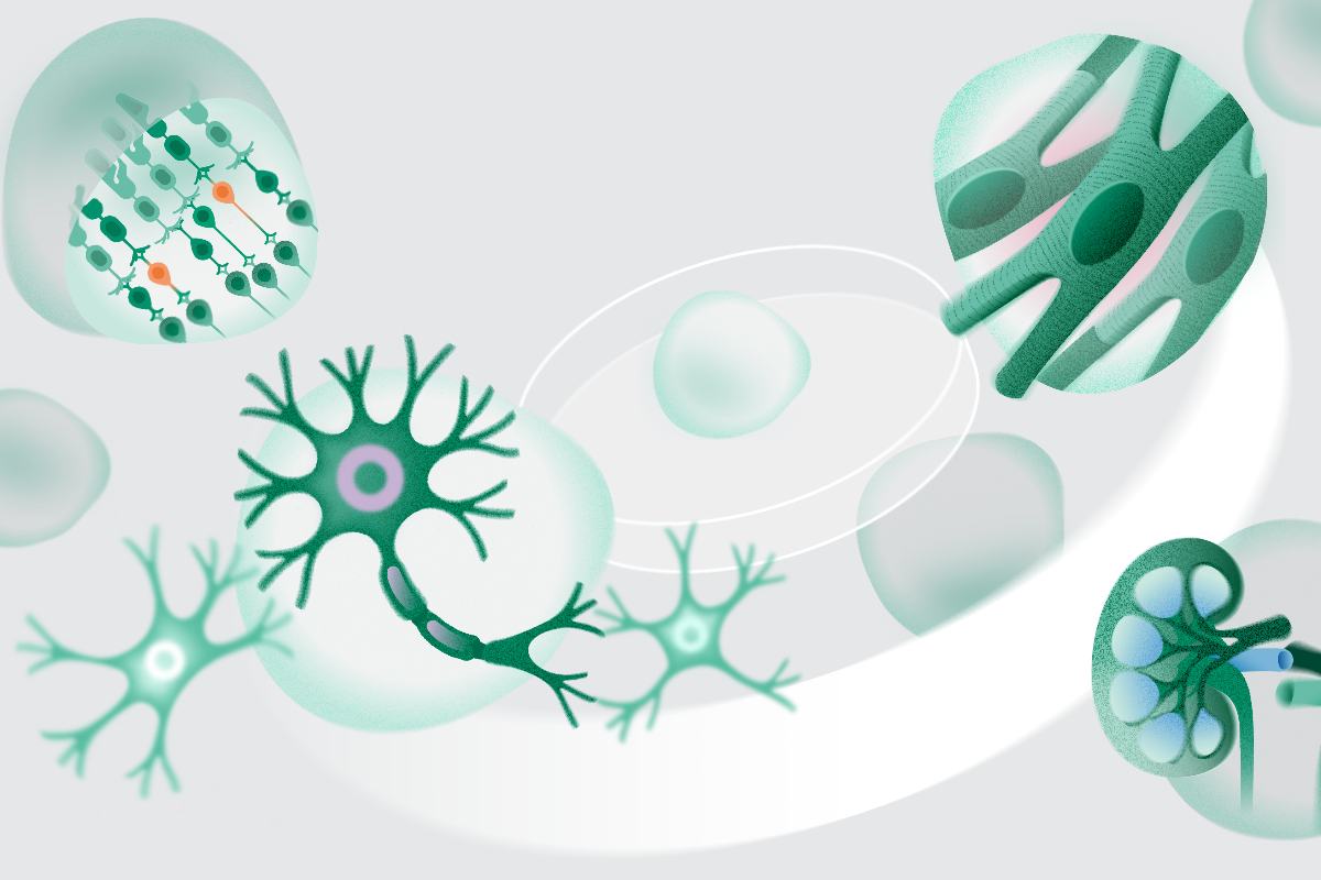Disease Modeling