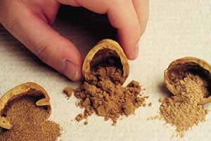 Walnut Shell Blasting Media