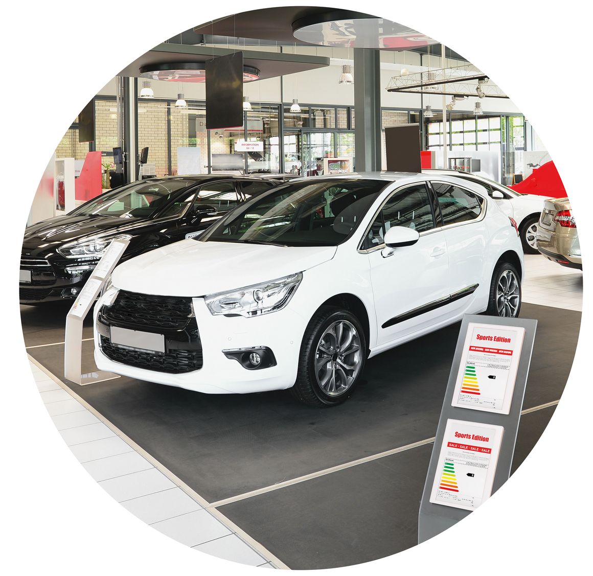 AutoCircle