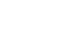 Hony