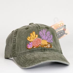Coral Reef